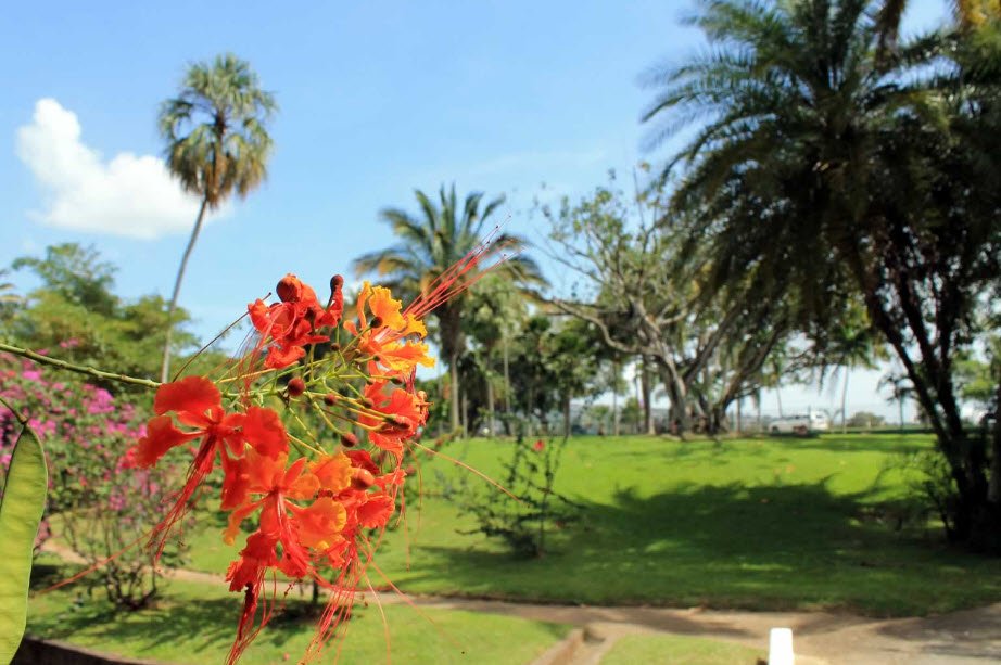 Royal Botanic Gardens, Port of Spain, Trinidad, Trinidad and Tobago